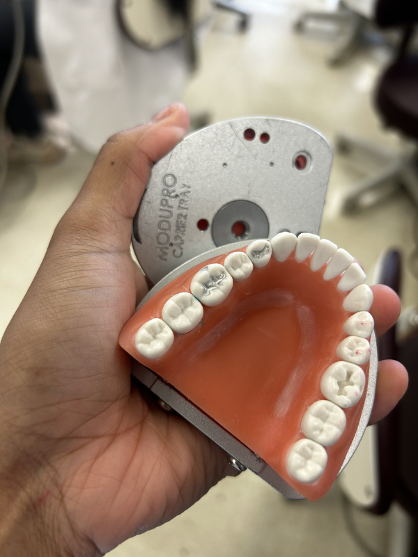 ModuPro dental teeth tray